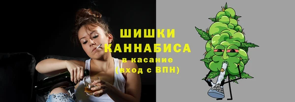 прущая мука Арсеньев